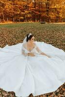 ein schön Braut ist Sitzung auf das Gras in der Nähe von das Herbst Blätter von das Bäume. Hochzeit Porträt von ein jung Braut im ein Herbst Thema. Hochzeit Fotografie. foto