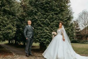 Bräutigam und Braut Gehen und halten Hände im das Park unter hoch Grün Bäume. weiter Winkel Herbst Foto. voluminös Hochzeit Kleid. klassisch passen von das Bräutigam foto