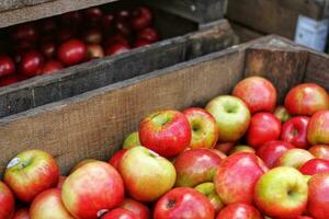 Äpfel im ein hölzern Box auf ein Markt Stall im Provence, Frankreich foto