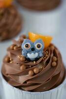 Halloween Cupcakes mit Schokolade und Kürbisse auf Weiß hölzern Hintergrund foto