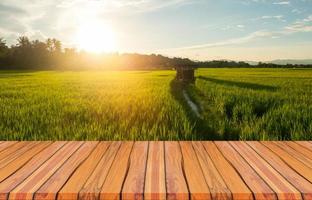Holzplanken und wunderschöne Naturlandschaft mit grünen Reisfeldern in der Regenzeit und bei Sonnenuntergang.