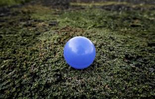 blauer Ball auf dem Gras