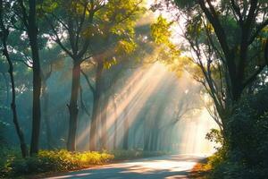 ai generiert Sonnenlicht durch Bäume. generativ ai. foto