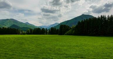 Grün Wiese im ein Grün Berg Landschaft mit Wolken beim das Himmel foto