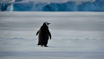 ai generiert ein Pinguin Stehen auf das Schnee im Vorderseite von ein Eisberg foto