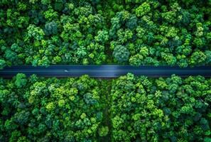 ai generiert Antenne Aussicht von ein Straße durch ein immergrün Wald foto