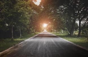 Straße zur Seite der Sonne und der dunklen Bäume. foto