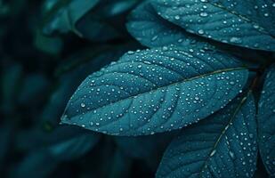 ai generiert Blau Blatt mit Regen Tröpfchen im das Hintergrund foto