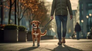 ai generiert Hund Gehen im Smartwatch foto