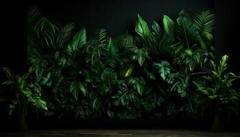 ai generiert Grün tropisch Blätter im schwarz Hintergrund mit dunkel Hintergrund foto