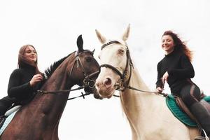 zwei junge hübsche Mädchen, die auf einem Feld ein Pferd reiten. Sie lieben Tiere und Reiten
