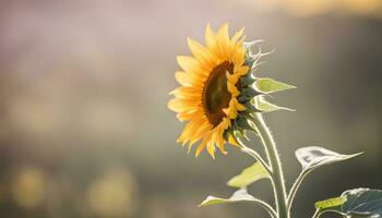 ai generiert ein Sonnenblume ist Stehen im das Mitte von ein Feld foto