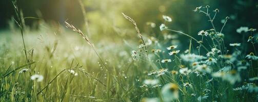 ai generiert ein groß Feld mit Gras und Blumen hinter es foto