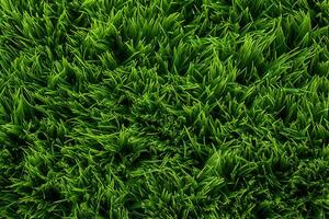 ai generiert Grün Gras Textur Hintergrund. schließen oben von frisch Frühling Gras oben Aussicht foto