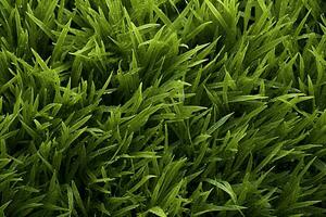 ai generiert Grün Gras Textur Hintergrund. schließen oben von frisch Frühling Gras oben Aussicht foto