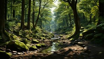ai generiert still Regenwald üppig Grün, fließend Wasser, mysteriös Wildnis Abenteuer generiert durch ai foto