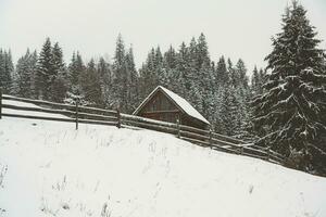 Panorama von das Dorf im das Winter Berge bedeckt mit Schnee. Winter Landschaft. das Konzept von Freiheit und Einsamkeit. foto