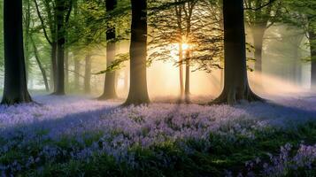 ai generiert neblig Glockenblume Holz beim Dämmerung - - ai generiert foto