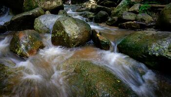 Wasserfall ist fließend im Dschungel. Wasserfall im Grün Wald. Berg Wasserfall. Kaskadierung Strom im üppig Wald. Natur Hintergrund. Felsen oder Stein beim Wasserfall. Wasser Nachhaltigkeit. Wasser Erhaltung. foto