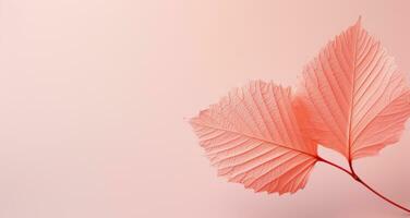 ai generiert Rosa Blatt mit ein Licht Grün Hintergrund foto