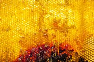 Tropfen Bienenhonig tropfen aus sechseckigen Waben, die mit goldenem Nektar gefüllt sind foto