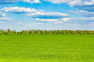 schöne horizontlandschaft in der dorfwiese auf natürlichem farbhintergrund foto