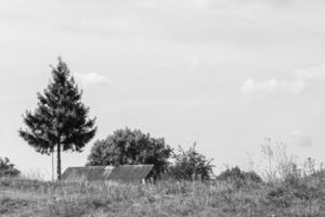 Schönes altes verlassenes Bauernhaus auf dem Land auf natürlichem Hintergrund foto