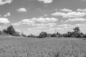 fotografie zum thema großes leeres bauernhoffeld für die organische ernte foto