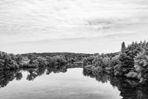 Schönes Grassumpfschilf, das am Uferreservoir in der Landschaft wächst foto