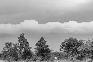 schöne horizontlandschaft in der dorfwiese auf natürlichem farbhintergrund foto