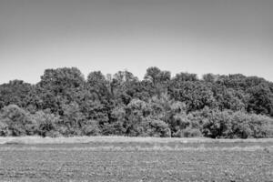 schöne horizontlandschaft in der dorfwiese auf natürlichem farbhintergrund foto