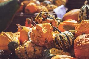 Haufen von dekorativen Mini-Kürbissen und Kürbissen, auf lokalem Bauernmarkt-Herbsthintergrund foto
