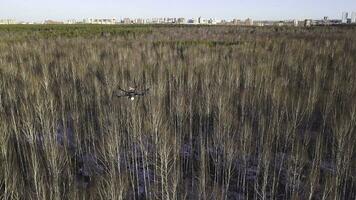 uav unbemannt Antenne Fahrzeug Drohne hochfliegend im das Himmel über verwelkt Wald und Stadt auf das Hintergrund. Clip. schwer Aufzug Drohne Fotografieren Stadt und Bäume. foto