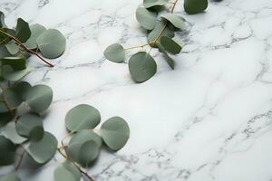 ai generiert Geäst von Eukalyptus Blätter auf ein Marmor Hintergrund foto