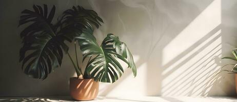 ai generiert Monstera Blatt auf Beige Pastell- Mauer mit Fenster Licht Schatten, 3d Rendern kosmetisch Produkt Anzeige Attrappe, Lehrmodell, Simulation foto