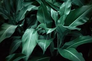 ai generiert Grün Blatt Textur, dunkel Grün Laub Natur Hintergrund, tropisch Blatt foto