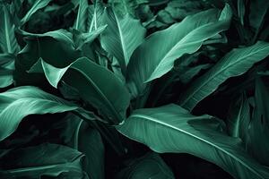 ai generiert Grün Blatt Textur, dunkel Grün Laub Natur Hintergrund, tropisch Blatt foto