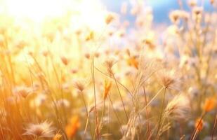 ai generiert ein Feld von Blumen mit Sonne Strahlen hinter Sie foto