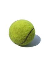 leicht schmutzig Tennis Ball auf ein Weiß Farbe Hintergrund. foto