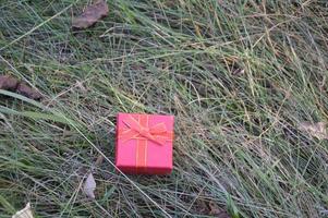 kleine rote Geschenkbox im Wald foto