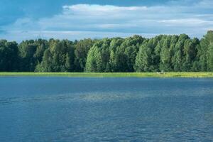 bewaldet Ufer von See mit Schilfbeete auf ein sonnig Tag, ein Angeln Motorboot ist sichtbar im das Schilf foto