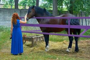 rot behaart Frau im ein Blau Kleid Schlaganfälle ein Pferd im ein Corral foto