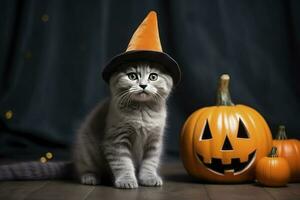 ai generiert schön wenig schottisch Tabby Katze mit Halloween Hut foto