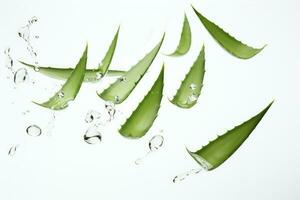 ai generiert Aloe vera Grün Blätter auf Weiß Hintergrund foto