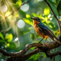 ai generiert fotografieren von ein schön bunt Vogel im das Amazonas Regenwald im Brasilien foto