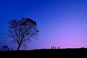 Silhouette eines jungen Fotografen, der während des Sonnenuntergangs in der Nähe eines Landschaftsbaums fotografiert foto
