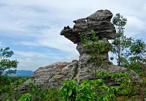 schalenförmiger Stein. der pa hin ngam nationalpark in chaiyaphum, thailand foto