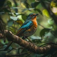 ai generiert fotografieren von ein schön bunt Vogel im das Amazonas Regenwald im Brasilien foto