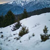 Winter Berge Landschaft gefroren Gipfel Gletscher foto