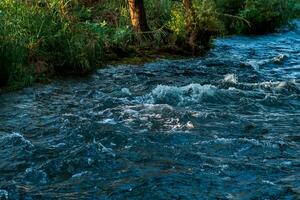 schnell Berg Fluss fließt unter das bewaldet Banken foto